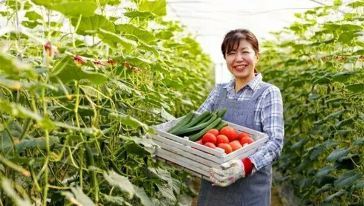 探秘九丰现代农业博览园 农业投资的未来之窗