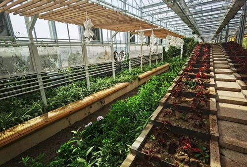 交出亮眼答卷 4.85亿投入激活大同现代农业示范区新引擎