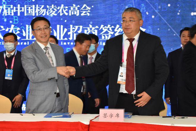 10亿元农业大项目落户洛南 打造乡村振兴新引擎